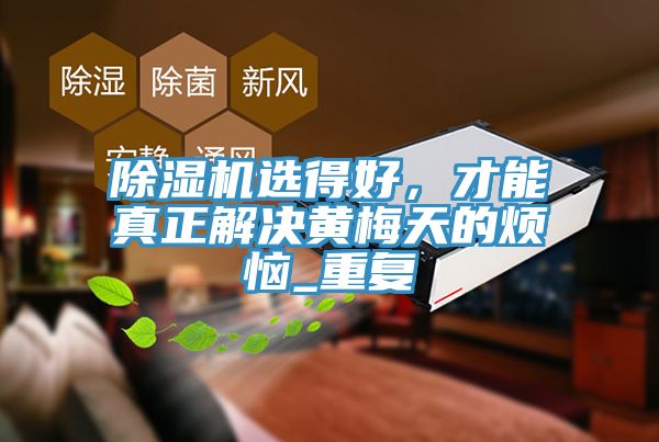 除濕機選得好，才能真正解決黃梅天的煩惱_重復