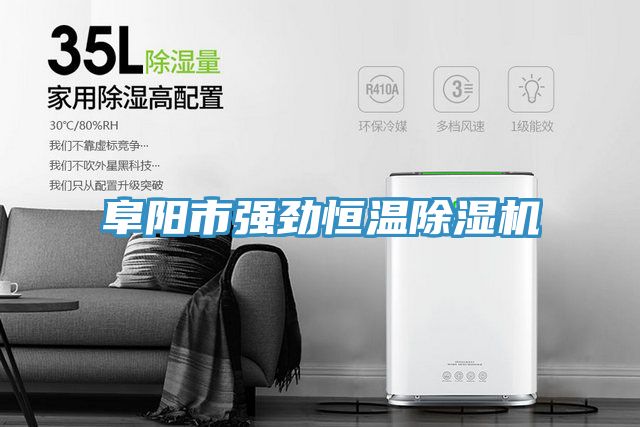 阜陽(yáng)市強(qiáng)勁恒溫除濕機(jī)