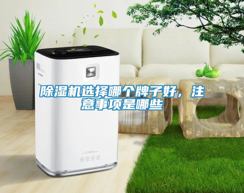 除濕機選擇哪個牌子好，注意事項是哪些