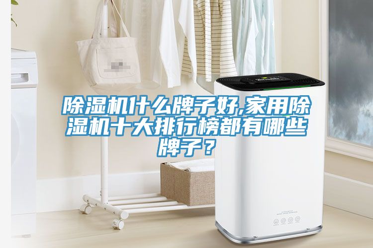 除濕機(jī)什么牌子好,家用除濕機(jī)十大排行榜都有哪些牌子？