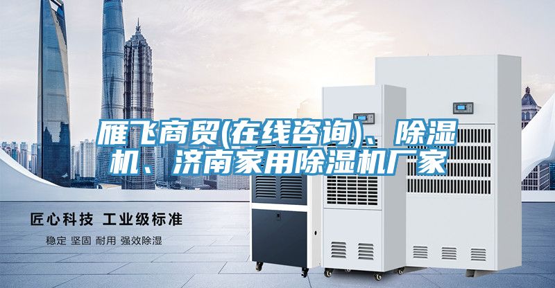 雁飛商貿(mào)(在線咨詢)、除濕機(jī)、濟(jì)南家用除濕機(jī)廠家