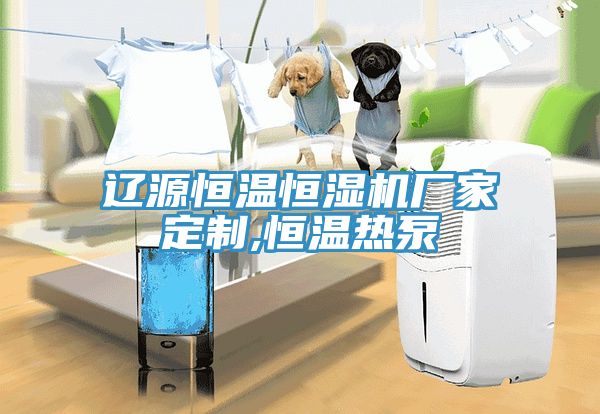 遼源恒溫恒濕機(jī)廠家定制,恒溫?zé)岜?/></p>
                            <p style=