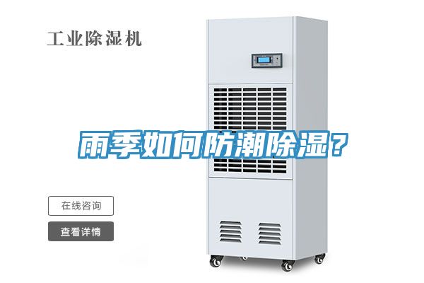 雨季如何防潮除濕？