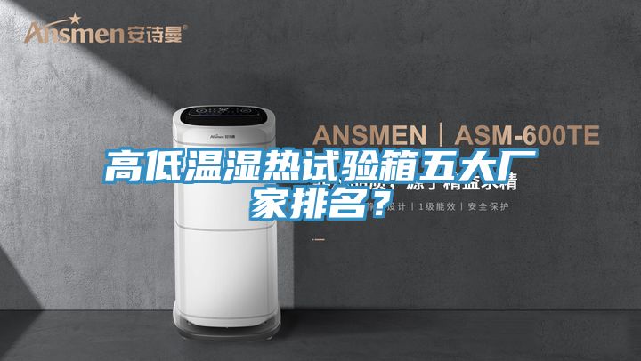 高低溫濕熱試驗(yàn)箱五大廠家排名？