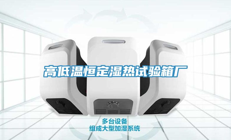 高低溫恒定濕熱試驗(yàn)箱廠