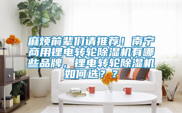 麻煩前輩們請推薦！南寧商用鋰電轉(zhuǎn)輪除濕機(jī)有哪些品牌，鋰電轉(zhuǎn)輪除濕機(jī)如何選？？