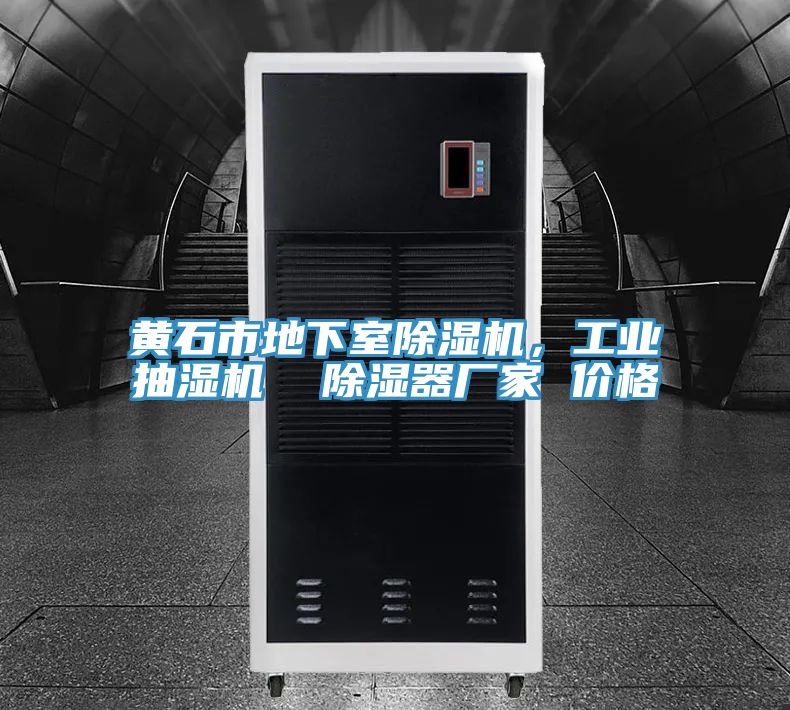 黃石市地下室除濕機(jī)，工業(yè)抽濕機(jī)  除濕器廠家 價(jià)格