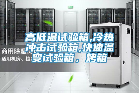 高低溫試驗(yàn)箱,冷熱沖擊試驗(yàn)箱,快速溫變?cè)囼?yàn)箱，烤箱