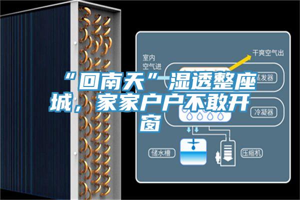 “回南天”濕透整座城，家家戶戶不敢開窗