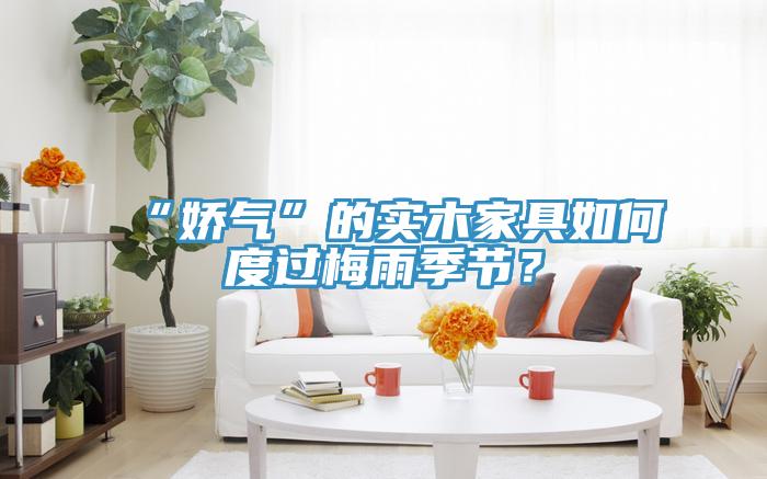 “嬌氣”的實木家具如何度過梅雨季節(jié)？