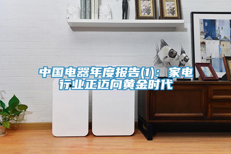 中國電器年度報(bào)告(1)：家電行業(yè)正邁向黃金時(shí)代