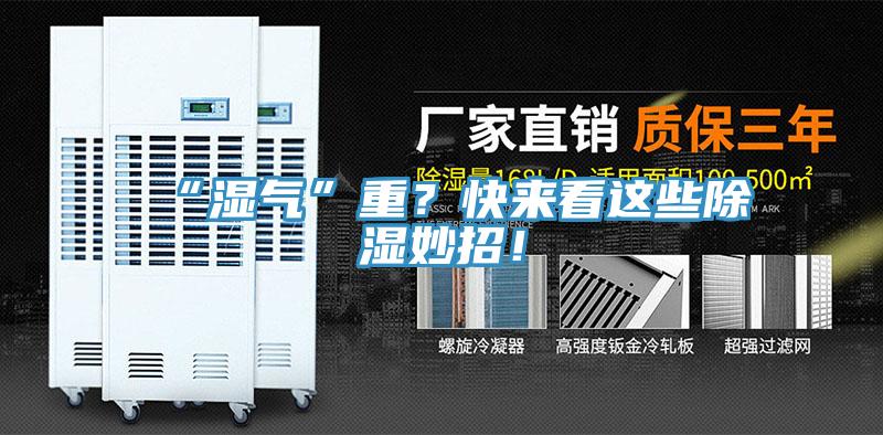“濕氣”重？快來看這些除濕妙招！