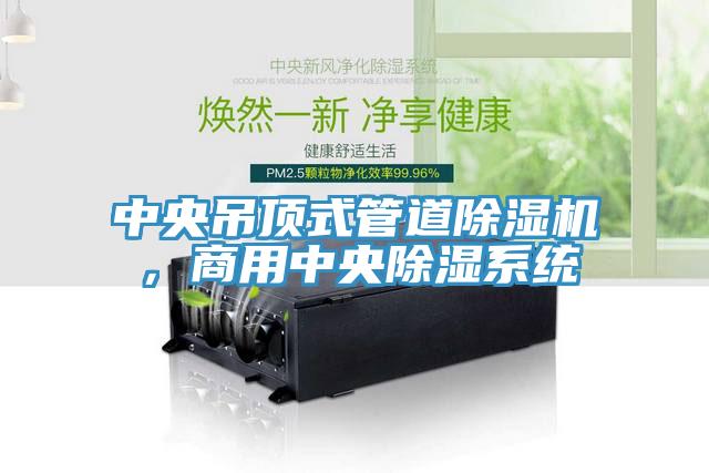 中央吊頂式管道除濕機(jī)，商用中央除濕系統(tǒng)
