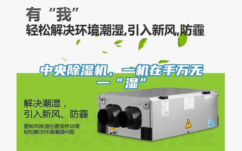 中央除濕機(jī)，一機(jī)在手萬無一“濕”