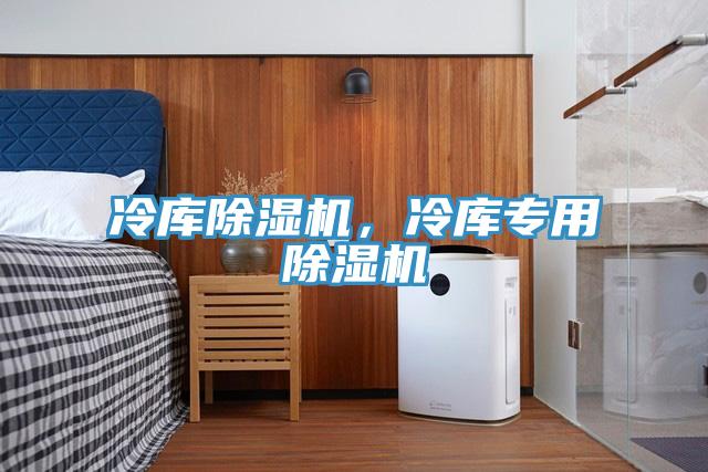 冷庫(kù)除濕機(jī)，冷庫(kù)專用除濕機(jī)