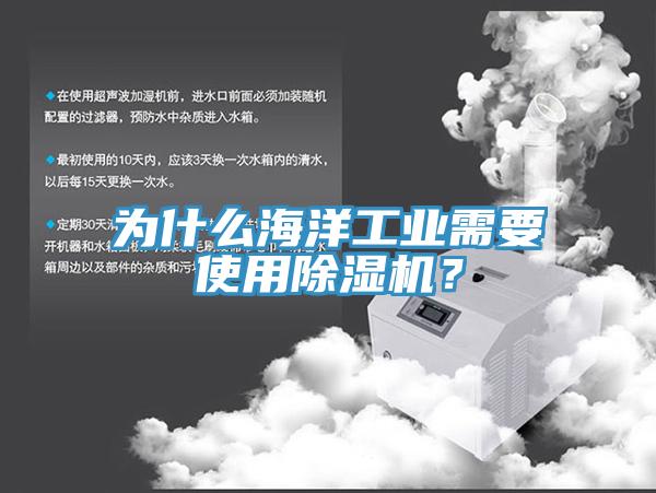為什么海洋工業(yè)需要使用除濕機(jī)？