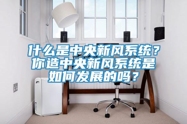 什么是中央新風系統(tǒng)？你造中央新風系統(tǒng)是如何發(fā)展的嗎？