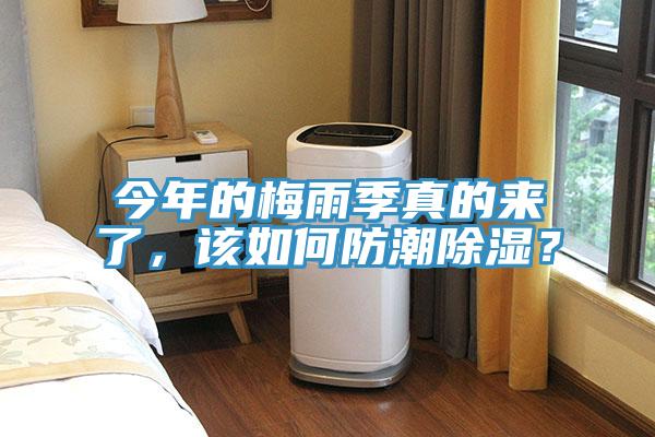 今年的梅雨季真的來了，該如何防潮除濕？