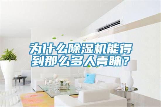 為什么除濕機能得到那么多人青睞？