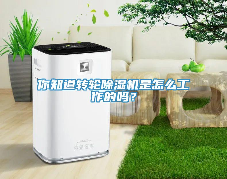 你知道轉(zhuǎn)輪除濕機(jī)是怎么工作的嗎？