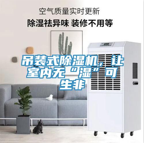 吊裝式除濕機(jī)，讓室內(nèi)無“濕”可生非