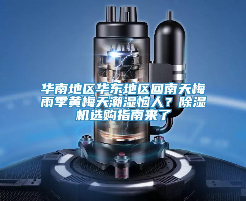 華南地區(qū)華東地區(qū)回南天梅雨季黃梅天潮濕惱人？除濕機選購指南來了