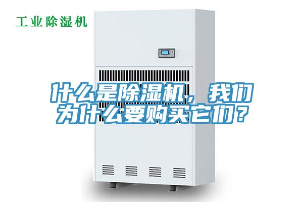 什么是除濕機(jī)，我們?yōu)槭裁匆?gòu)買(mǎi)它們？