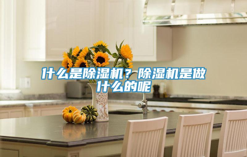 什么是除濕機(jī)？除濕機(jī)是做什么的呢