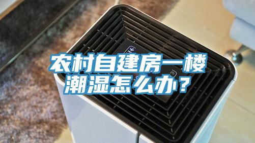農(nóng)村自建房一樓潮濕怎么辦？
