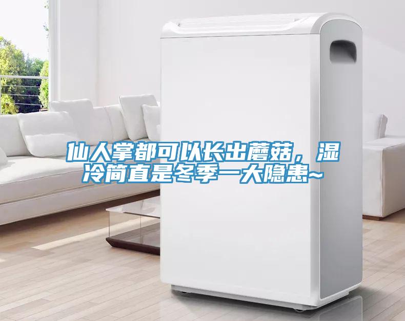 仙人掌都可以長出蘑菇，濕冷簡直是冬季一大隱患~