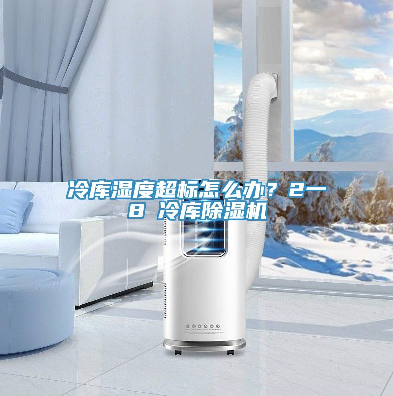 冷庫(kù)濕度超標(biāo)怎么辦？2一8℃冷庫(kù)除濕機(jī)