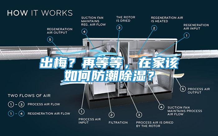 出梅？再等等，在家該如何防潮除濕？