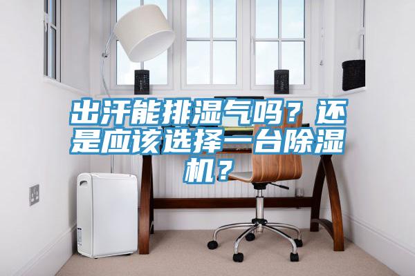 出汗能排濕氣嗎？還是應(yīng)該選擇一臺除濕機？
