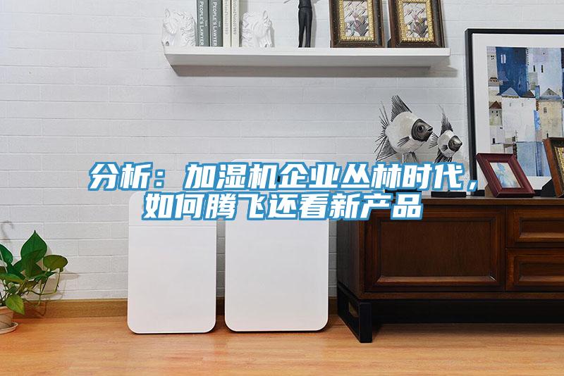 分析：加濕機(jī)企業(yè)叢林時代，如何騰飛還看新產(chǎn)品