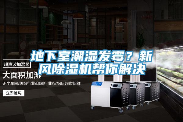 地下室潮濕發(fā)霉？新風(fēng)除濕機(jī)幫你解決