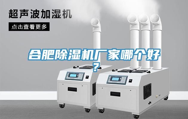 合肥除濕機(jī)廠家哪個(gè)好？