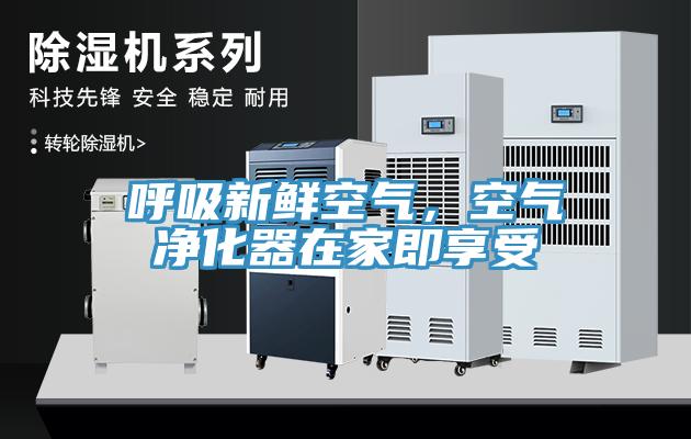呼吸新鮮空氣，空氣凈化器在家即享受