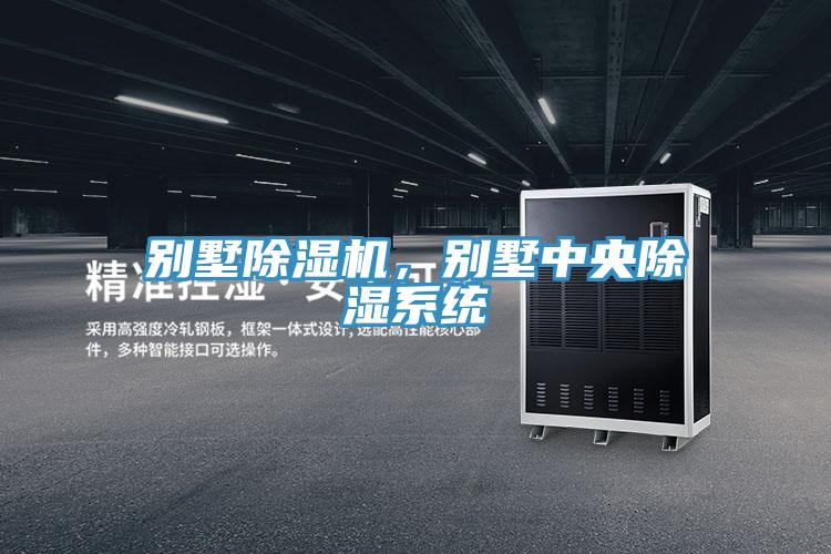 別墅除濕機，別墅中央除濕系統(tǒng)