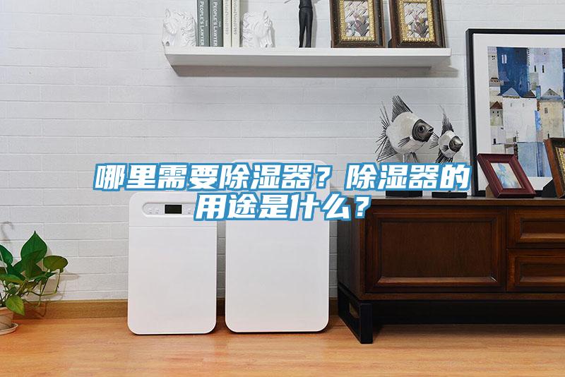 哪里需要除濕器？除濕器的用途是什么？
