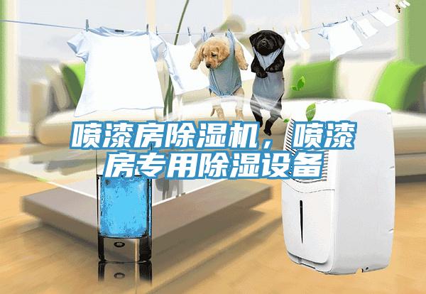 噴漆房除濕機，噴漆房專用除濕設(shè)備
