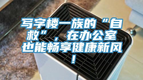 寫字樓一族的“自救”，在辦公室也能暢享健康新風！