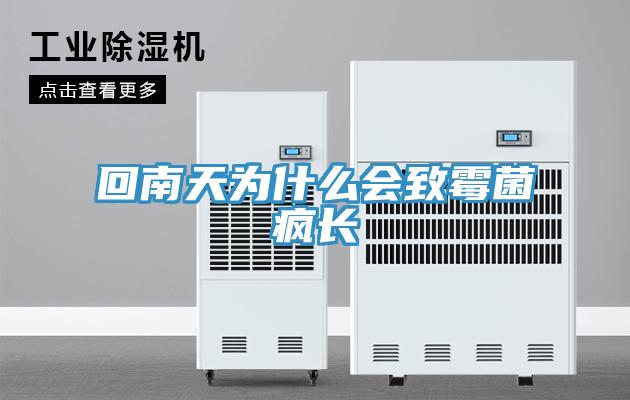 回南天為什么會(huì)致霉菌瘋長
